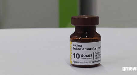 Ministério da Saúde alerta para vigilância e vacinação contra febre amarela