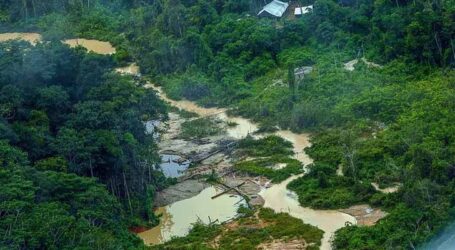 Yanomamis revelam impactos sociais graves do garimpo ilegal