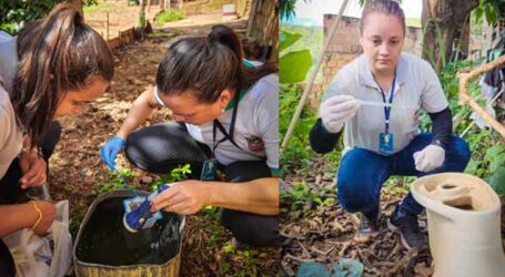 Em Situação de Emergência em Saúde Pública, Pitangui intensifica combate ao Aedes aegypti para conter surto de Dengue