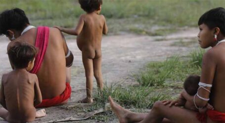 Garimpo ilegal ainda ameaça saúde na Terra Indígena Yanomami