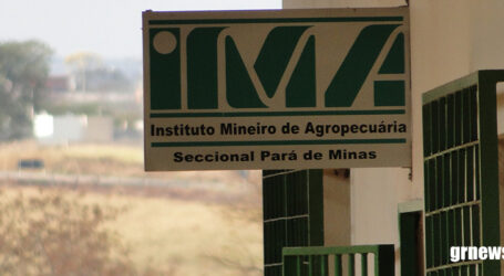 GRNEWS TV: Equipe do IMA cumpre todas as metas e fecha o ano com avaliação positiva em Pará de Minas