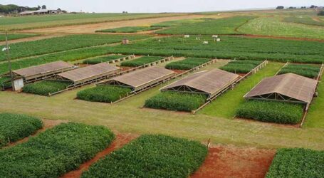 Pesquisadores reúnem tecnologias para mitigar os efeitos da seca na cultura da soja