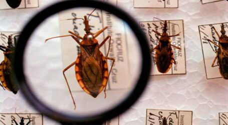 Saiba mais sobre a Doença de Chagas