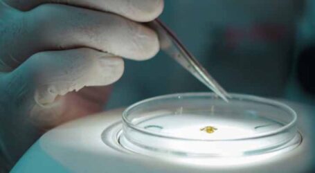 GRNEWS TV: Diagnóstico precoce e tratamento imediato são essenciais contra a febre maculosa, causada por carrapato