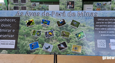 GRNEWS TV: Aberta exposição gratuita sobre pássaros na Secretaria Municipal de Agronegócio, Desenvolvimento Rural e Meio Ambiente