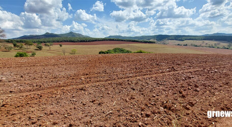 Brasil colherá mais de 297 milhões de toneladas de grãos na safra 2023/2024