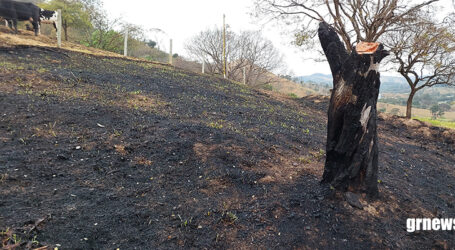 Mais de 17 milhões de hectares foram queimados no Brasil em 2023