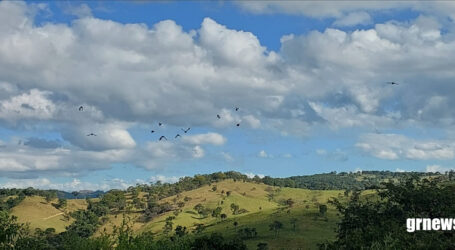 MG integra dados do Cadastro Ambiental Rural ao Painel de Indicadores do Meio Ambiente