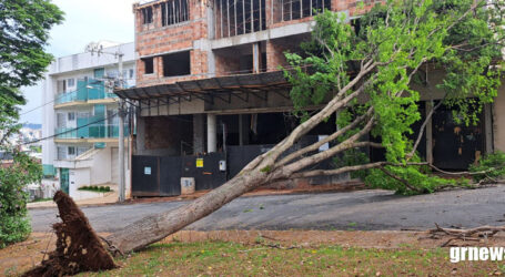 GRNEWS TV: Ventania derrubou árvores em Pará de Minas e região da Praça Santo Antônio ficou sem energia elétrica por 11 horas