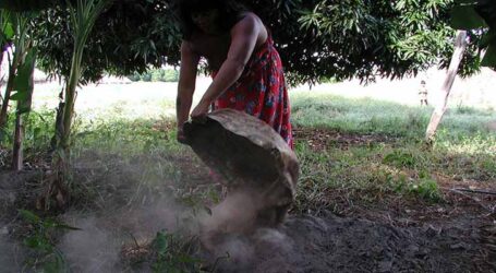 Terra Preta de Índio ajuda a confirmar a presença humana na Amazônia pré-colombiana