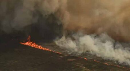 Área queimada no Brasil aumentou 248% em relação a janeiro de 2023