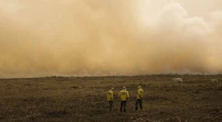 Mato Grosso do Sul decreta situação de emergência por causa de incêndios
