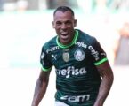 Palmeiras vence e coloca mão na taça do Brasileirão