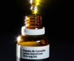 Praticantes de musculação lideram a importação de medicamentos à base de cannabis para tratamento