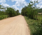 Paivas receberá maior obra de pavimentação rural da história de Pará de Minas com investimento de R$ 17,3 milhões