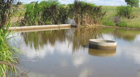 Barragens subterrâneas geraram renda extra de mais de R$ 7 mil anuais para agricultores