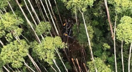 Helicóptero que caiu no Vale do Paraíba bateu em vegetação antes da queda