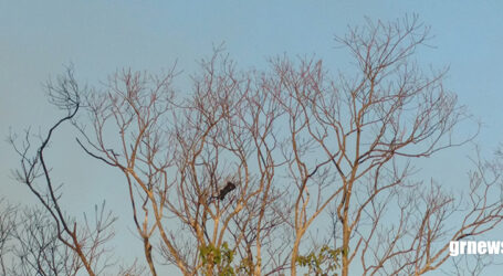 Estudo da Oxfam revela que financiamento climático no Brasil é insuficiente e desigual