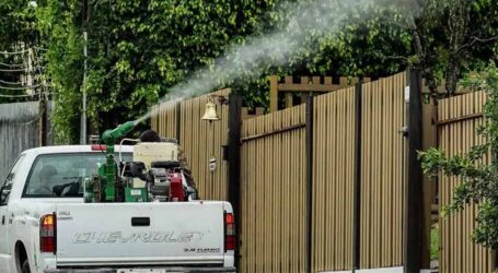 DF confirma 38 mortes por dengue e lidera ranking no Brasil