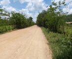 GRNEWS TV: Estradas rurais exigem trabalho contínuo para sustentar o agronegócio em Pará de Minas