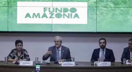 Fundo Amazônia captou R$ 726 milhões em 2023, maior valor desde 2009