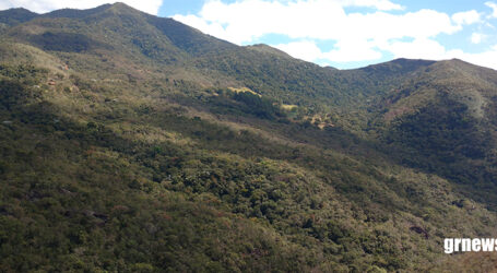 Alerta na Mata Atlântica: 2,4 milhões de hectares de floresta perdidos em 40 anos