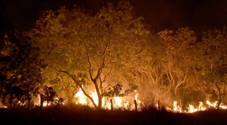 Roraima registra 45% do total de focos de queimadas do Brasil em fevereiro