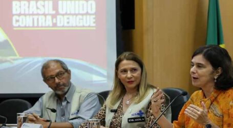 Ministra alerta que dengue e gripe podem pressionar sistema de saúde