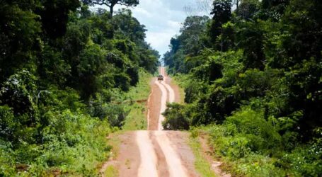 Degradação na Amazônia afeta área três vezes maior que desmatamento