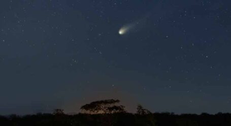 Cometa do Diabo ficará visível no Brasil no domingo; veja horário