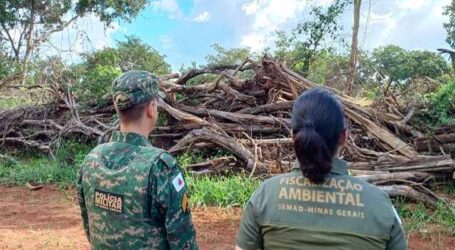 Fiscalização mira alvos suspeitos de desmatamento ilegal no Triângulo Mineiro