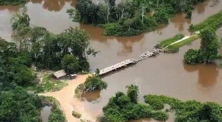 PF destrói ponte de acesso à terra indígena no Pará