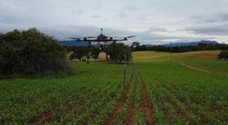 Minas Gerais apresenta soluções em inovação tecnológica para o agronegócio