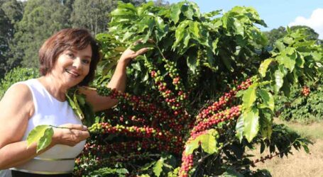 Universidade Federal de Lavras desenvolve técnica para cultivo de cafés premiados