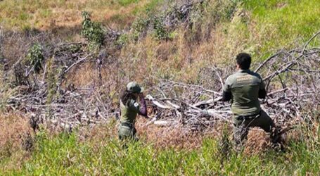 Operação de combate ao desmatamento e aplica R$ 30 milhões em multas no Norte e Noroeste de MG