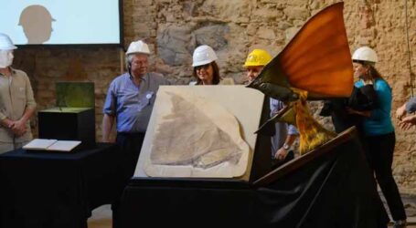 Museu Nacional recebe doação de mais de mil peças para ajudar na reconstituição do acervo