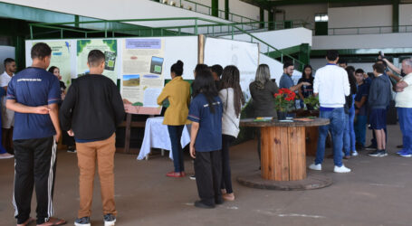 Junho Verde: universitários da UFV apresentam planos de conservação ambiental aos alunos da rede municipal de Pará de Minas