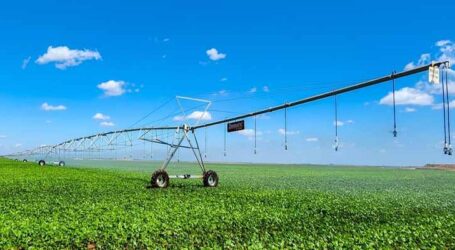 Minas Gerais tem nova lei que permite aumento das áreas irrigadas