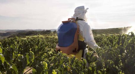 Projeto de inclusão digital levará agricultura de precisão a pequenas propriedades rurais