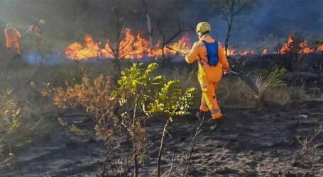 Incêndios florestais atingem milhares de hectares em parques de Minas Gerais