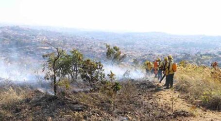 Guardiões da natureza, brigadistas são fundamentais no combate a incêndios florestais em MG