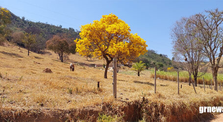 GRNEWS TV: Centro-Oeste de MG é região do agro e PM amplia ações do Cinturão Rural para garantir segurança