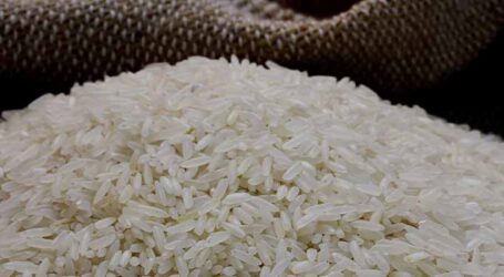Governo destina R$ 300 milhões para garantir preço mínimo do arroz