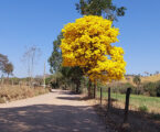 Homologação da contratação de empresa por R$ 11,85 milhões abre caminho para asfaltamento da estrada de Paivas