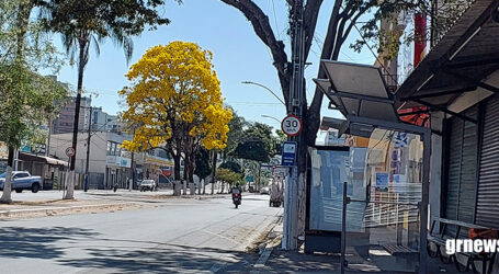 GRNEWS TV: No meu governo não teremos uma guarita de ônibus custando o valor de um apartamento