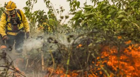 Brasil já registrou mais de 154 mil focos de incêndios este ano