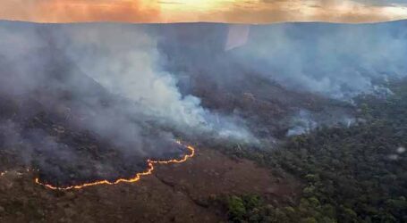 Incêndio destruiu 10 mil hectares do Parque da Chapada dos Veadeiros