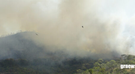 Incêndios florestais destruíram 900 hectares em Pará de Minas e força-tarefa atuou de maneira integrada para combater o fogo