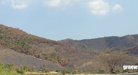 Brasil teve mais de 22 milhões de hectares atingidos pelo fogo em nove meses