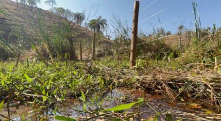 Águas de Pará de Minas investe na preservação de mais uma nascente do Ribeirão Paciência